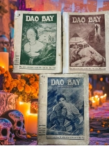 DAO BAY - NGUYỄN NGỌC CẦM