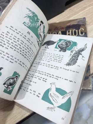 EM TÌM HIỂU KHOA HỌC (LỚP NHẤT, BỐN, NĂM)
