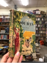 ĐÔI BẠN (Tiểu thuyết) - NHẤT LINH
