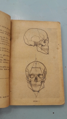 GIẢI PHẪU TẠO HÌNH - LƯƠNG XUÂN NHỊ