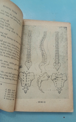 GIẢI PHẪU TẠO HÌNH - LƯƠNG XUÂN NHỊ