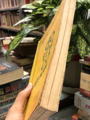 ĐÔ THỊ CỔ VIỆT NAM