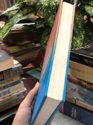 MỸ - ÂU - NHẬT VĂN HOÁ VÀ PHÁT TRIỂN - ĐỖ LỘC DIỆP