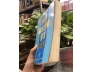 CHỮA BỆNH BẰNG CÁC LIỆU PHÁP THAY THẾ THUỐC - BÍCH THUỶ, HẢI YẾN (Dịch)