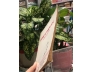 DANH TỪ THIỀN HỌC CHÚ GIẢI - THÍCH DUY LỰC