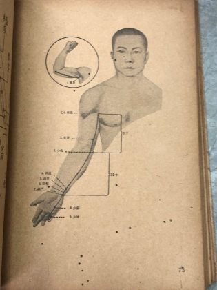 KINH NGUYỆT VÀ BIỆN CHỨNG ĐÔNG Y HỌC - TRƯƠNG THÌN, TRẦN THANH HÀ