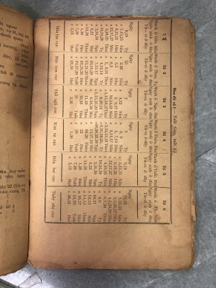 SỐ TỬ VI LẬP THÀNH - NGUYỄN PHÚC AM