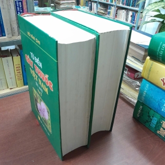 TỪ ĐIỂN CÂY THUỐC VIỆT NAM - VÕ VĂN CHI  