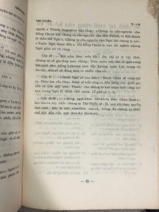 CHÂU NGỌC CỦA THI THIÊN (2 TẬP) - LÊ VĂN THÁI
