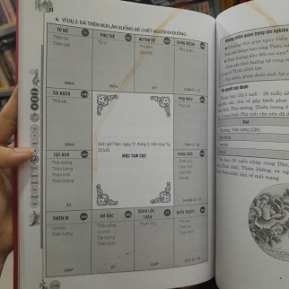 TỬ VI ĐẨU SỐ LƯU NIÊN HUNG TAI TOÀN TẬP - VƯƠNG ĐÌNH CHI
