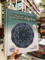 ELEMENTARY AND INTERMEDIATE ALGEBRA- MASH DUGOPOLSKI