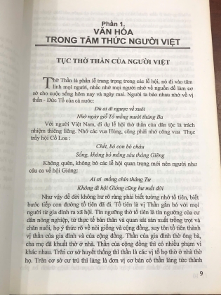 VĂN HOÁ VIỆT NAM NHÌN TỪ MỸ THUẬT - CHU QUANG TRỨ