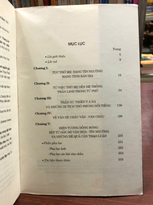 TÍN NGƯỠNG THỜ MẪU Ở MIỀN TRUNG VIỆT NAM - NGUYỄN HỮU THÔNG (Chủ biên)