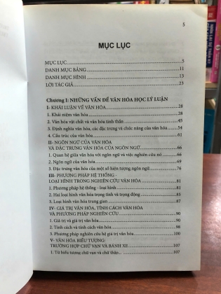 NHỮNG VẤN ĐỀ VĂN HOÁ HỌC LÝ LUẬN VÀ ỨNG DỤNG - TRẦN NGỌC THÊM