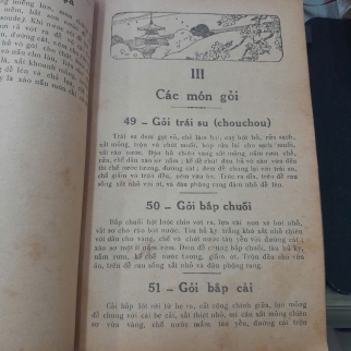 SÁCH NẤU ĐỒ CHAY - ĐOÀN TRUNG CÒN