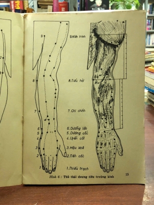SỔ TAY CHÂM CỨU - THƯỢNG TRÚC