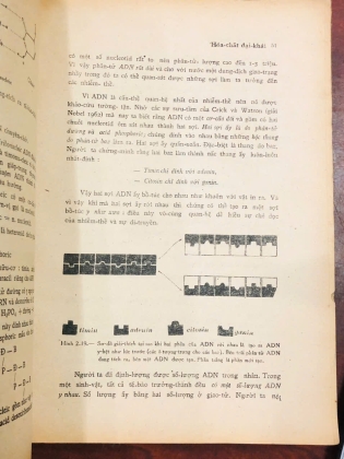 SINH HỌC THỰC VẬT 