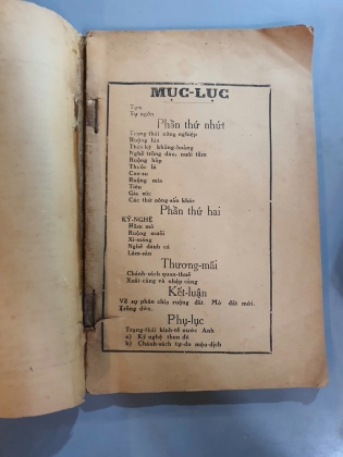 VIỆT NAM KINH TẾ LƯỢC KHẢO CỦA TRÚC CHI