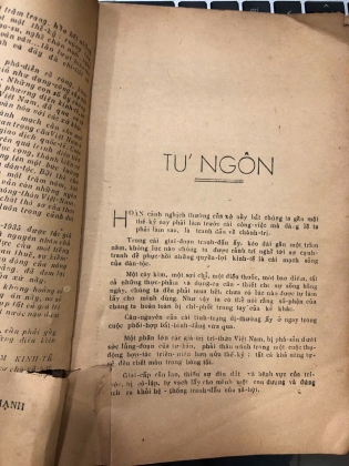 VIỆT NAM KINH TẾ LƯỢC KHẢO CỦA TRÚC CHI