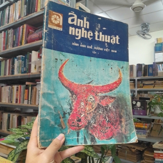 ẢNH NGHỆ THUẬT HÌNH ẢNH QUÊ HƯƠNG VIỆT NAM (TẬP I) - LÊ VĂN KHOA