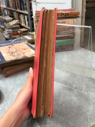 VIỆT NGỮ TINH NGHĨA TỪ ĐIỂN - LONG ĐIỀN, NGUYỄN VĂN MINH