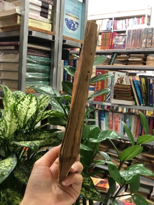 ĐƯỜNG THI - NGÔ TẤT TỐ