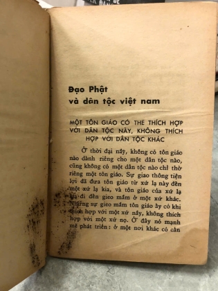 ĐẠO PHẬT QUA CẶP KÍNH MÀU CỦA TÔI - VÕ ĐÌNH CƯỜNG