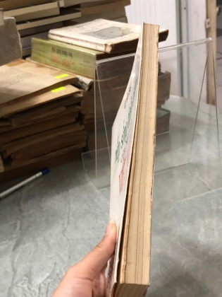 NẾP SỐNG TÌNH CẢM CỦA NGƯỜI VIỆT NAM - LÊ VĂN SIÊU