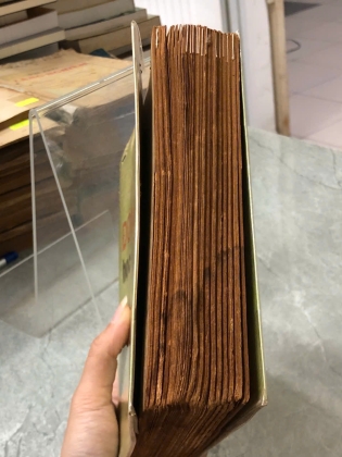 ĐÔNG Y DƯỢC HỌC KHÓA TOÁT YẾU - PHẠM VĂN ĐIỀU
