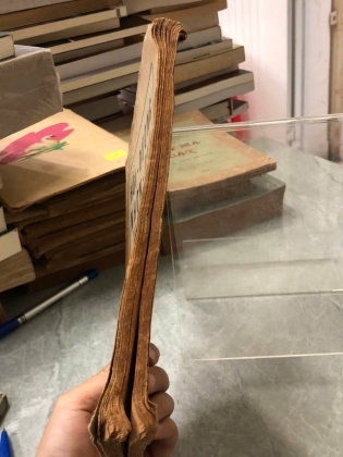 HỒI DƯƠNG NHƠN QUẢ VÀ NGỌC LỊCH MINH KINH