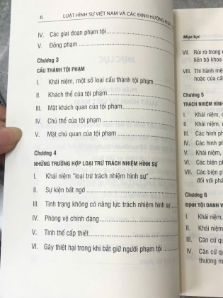 LUẬT HÌNH SỰ VIỆT NAM VÀ CÁC ĐỊNH HƯỚNG PHÁT TRIỂN - TRỊNH TIẾN VIỆT