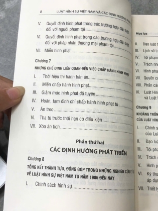 LUẬT HÌNH SỰ VIỆT NAM VÀ CÁC ĐỊNH HƯỚNG PHÁT TRIỂN - TRỊNH TIẾN VIỆT