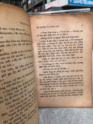 ÂM THANH VÀ CUỒNG NỘ - William Faulkner