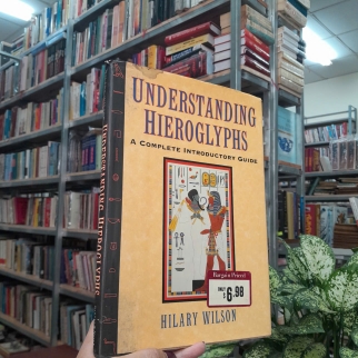 UNDERSTANDING HIEROGLYPHS - HILARY WILSON