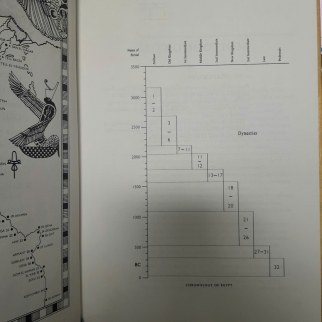 UNDERSTANDING HIEROGLYPHS - HILARY WILSON