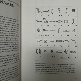 UNDERSTANDING HIEROGLYPHS - HILARY WILSON