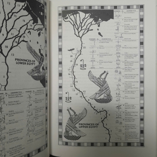 UNDERSTANDING HIEROGLYPHS - HILARY WILSON