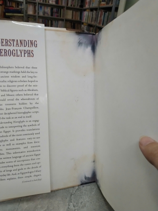 UNDERSTANDING HIEROGLYPHS - HILARY WILSON