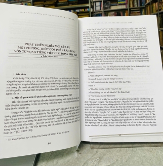 GIẢNG DẠY, NGHIÊN CỨU VIỆT NAM HỌC VÀ TIẾNG VIỆT - NHỮNG VẤN ĐỀ LÝ THUYẾT VÀ THỰC TIỄN 