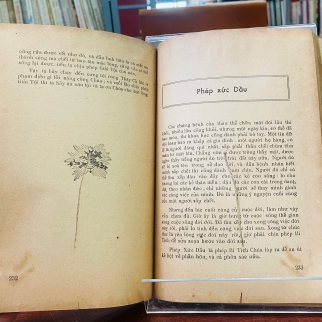 HỘI THÁNH CÔNG GIÁO 