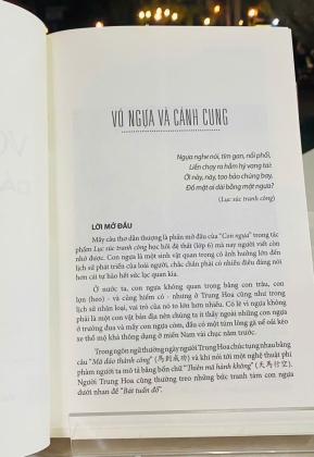 VÓ NGỰA VÀ CÁNH CUNG 