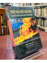 PHÁP NẠN PHẬT GIÁO 1963 - NGUYÊN NHÂN, BẢN CHẤT VÀ TIẾN TRÌNH