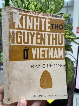KINH TẾ THỜI NGUYÊN THUỶ Ở VIỆT NAM 