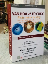 VĂN HOÁ VÀ TỔ CHỨC PHẦN MỀM TƯ DUY - ĐINH VIỆT HOÀ