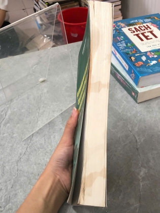 QUÁ TRÌNH KHAI PHÁ VÀ XÁC LẬP CHỦ QUYỀN CỦA VIỆT NAM TRÊN VÙNG ĐẤT NAM BỘ (THẾ KỶ XVII - XIX) - NGUYỄN QUANG NGỌC