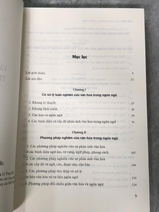VĂN HOÁ VIỆT NAM TRONG NGÔN NGỮ - LÝ TÙNG HIẾU