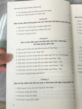 VĂN HOÁ VIỆT NAM TRONG NGÔN NGỮ - LÝ TÙNG HIẾU