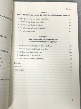 VĂN HOÁ VIỆT NAM TRONG NGÔN NGỮ - LÝ TÙNG HIẾU