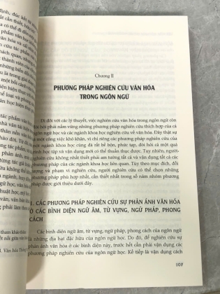 VĂN HOÁ VIỆT NAM TRONG NGÔN NGỮ - LÝ TÙNG HIẾU