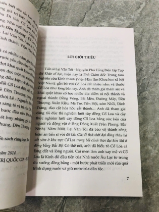 ĐỀN THƯỢNG CỔ LOA VÀ NHỮNG BÍ ẨN TRONG LÒNG ĐẤT - LẠI VĂN TỚI